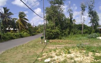 le  MOULE  terrain de 660m2 a 1300 m2 a partir de 99960€