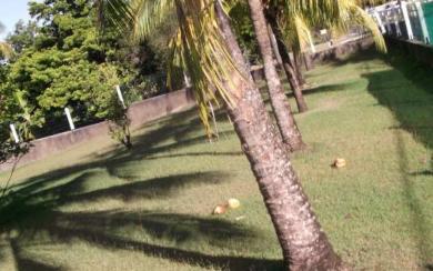 le  MOULE  terrain de 660m2 a 1300 m2 a partir de 99960€