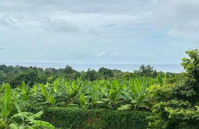 Location Maison 194.58m&sup2; 5 pièces Capesterre Belle Eau