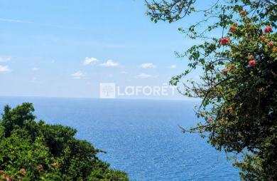 Vente Terrain 5025m² Bouillante