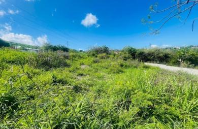 Vente Terrain 840m&sup2; Vieux Habitants