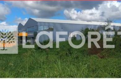 Location Terrain 3681m² Baie Mahault