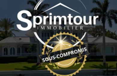 Spacieux Terrain à Vieux Habitants : Espace 4 956 m2, Calme et à Proximité de Basse Terre
