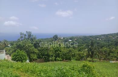 Vente Terrain 1000m&sup2; Baillif