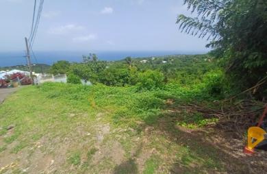 Vente Terrain 1000m&sup2; Baillif