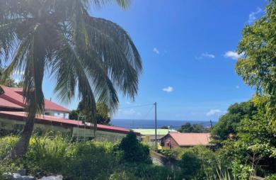 Vente Terrain 545m&sup2; Gourbeyre