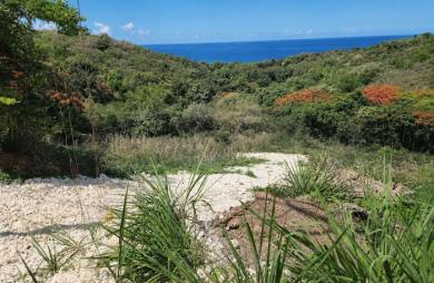 Vente Terrain 629m² Vieux Habitants