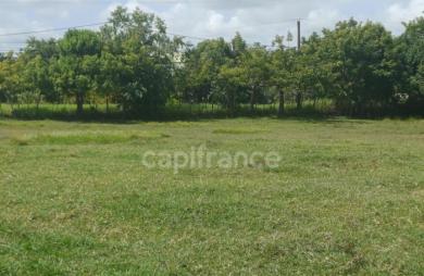 Vente Terrain 1000m&sup2; Petit-Canal