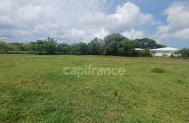 Vente Terrain 1000m&sup2; Petit-Canal