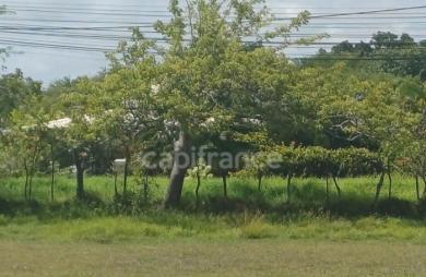Vente Terrain 1000m&sup2; Petit-Canal