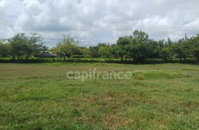 Vente Terrain 1000m&sup2; Petit-Canal