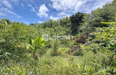Vente Terrain 801m² Anse-Bertrand