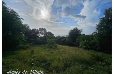 Vente Terrain 2983m&sup2; Bouillante