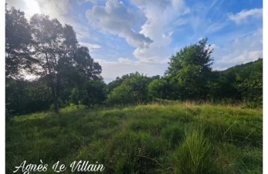 Vente Terrain 2983m&sup2; Bouillante