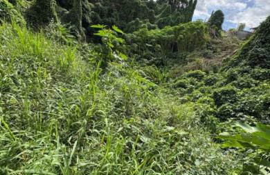 Vente Terrain 3158m&sup2; Morne à l