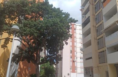 POINTE-A-PITRE : APPARTEMENT T4 AVEC VUE DEGAGEE