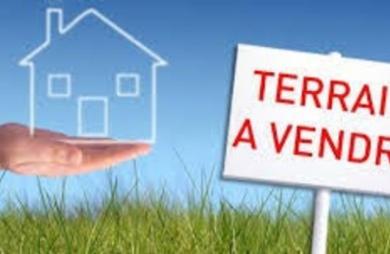 Vente Terrain 801m&sup2; Anse-Bertrand