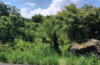 Vente Terrain 4268m&sup2; Pointe-Noire