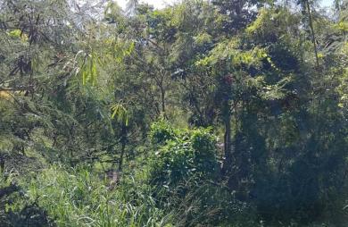 Vente Terrain 4268m&sup2; Pointe-Noire