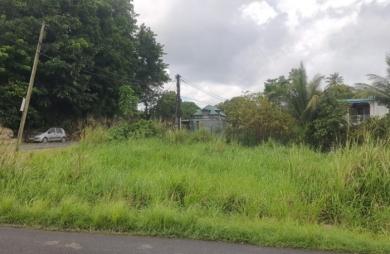 Vente Terrain 669m&sup2; Sainte Anne