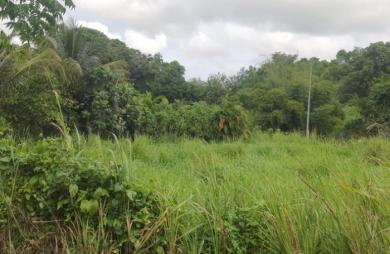 Vente Terrain 669m&sup2; Sainte Anne