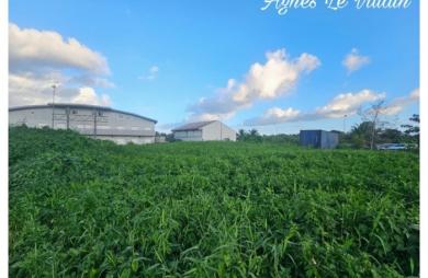 Vente Terrain 1006m&sup2; Sainte Rose