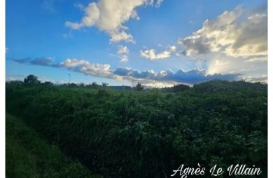 Vente Terrain 1006m&sup2; Sainte Rose