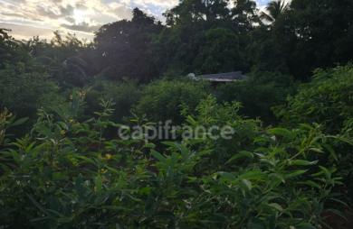 Vente Terrain 1043m&sup2; Baillif