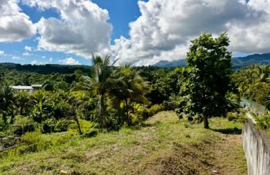 Goyave : terrain à vendre avec Longfort Immobilier