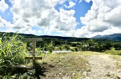 Goyave : terrain à vendre avec Longfort Immobilier