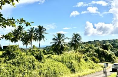 Goyave : terrain à vendre avec Longfort Immobilier