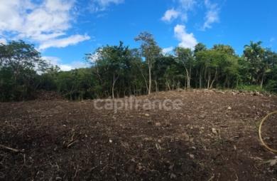 Vente Terrain 2072m&sup2; Bouillante
