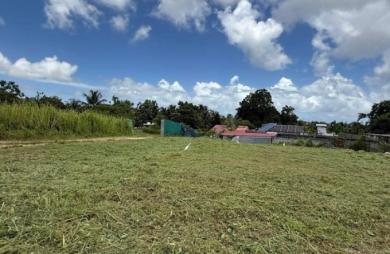 Vente Terrain 646m&sup2; Baie Mahault