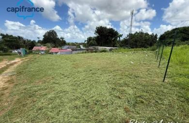Vente Terrain 646m&sup2; Baie Mahault