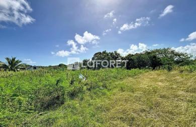 Vente Terrain 1088m² Anse-Bertrand