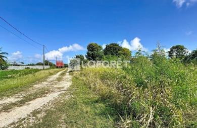 Vente Terrain 1088m² Anse-Bertrand