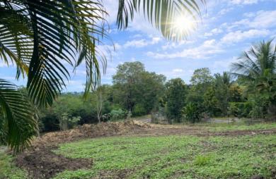 Vente Terrain 876m&sup2; Vieux Habitants