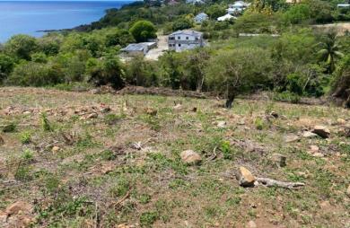 Vente Terrain 1039m&sup2; Vieux Habitants