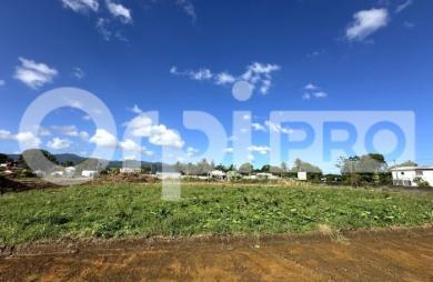 A vendre Terrain 1596 m² Sainte Rose