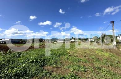 A vendre Terrain 1596 m² Sainte Rose