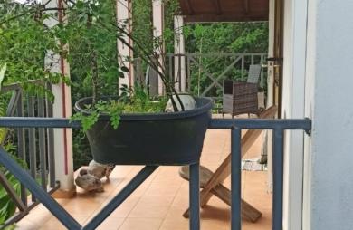 Vente Maison 101m&sup2; 4 pièces Petit-Bourg