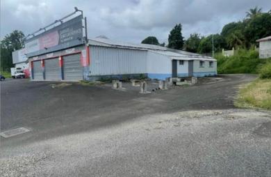 Location Local commercial 330m² Goyave