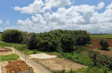 LAMENTIN  TERRAIN 542 M2