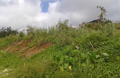 GOYAVE  - Terrain à bâtir