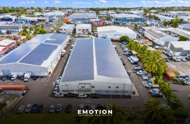 Bureaux / Entrepôt 300 m2 divisibles à Baie-Mahault Jarry ( Guadeloupe)