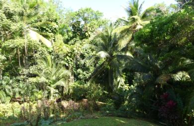 Maison en location 950 € par mois avec terrasse à Petit-Bourg