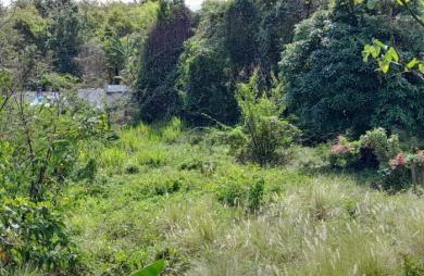 Vente Terrain 1343m&sup2; Deshaies