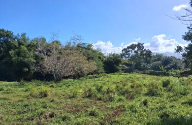 - BAIE-MAHAULT   lotissement résidentiel de 12 parcelles, « Les Jardins de Tivoli »,