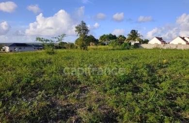 Vente Terrain 500m&sup2; Anse-Bertrand