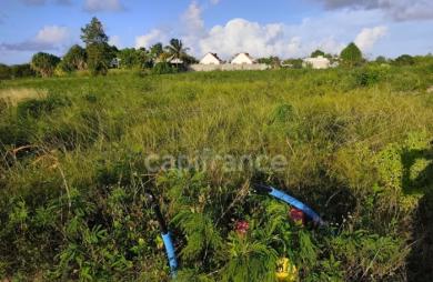 Vente Terrain 500m&sup2; Anse-Bertrand